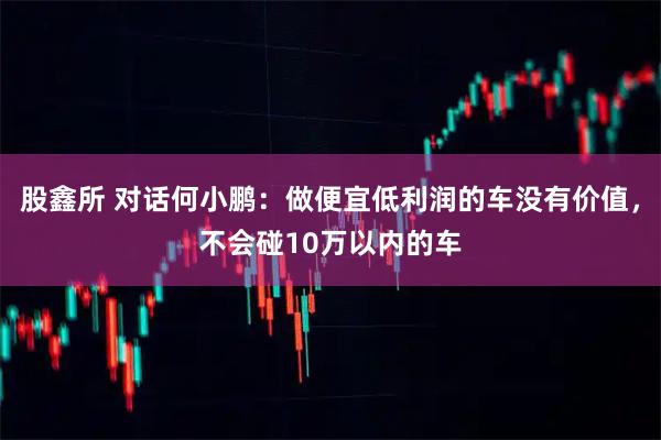 股鑫所 对话何小鹏：做便宜低利润的车没有价值，不会碰10万以内的车