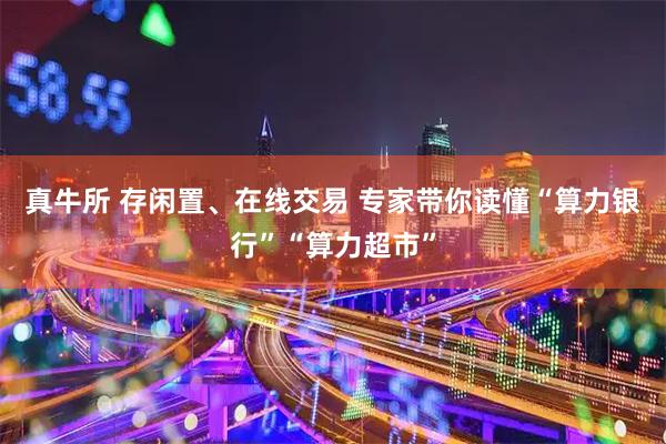 真牛所 存闲置、在线交易 专家带你读懂“算力银行”“算力超市”